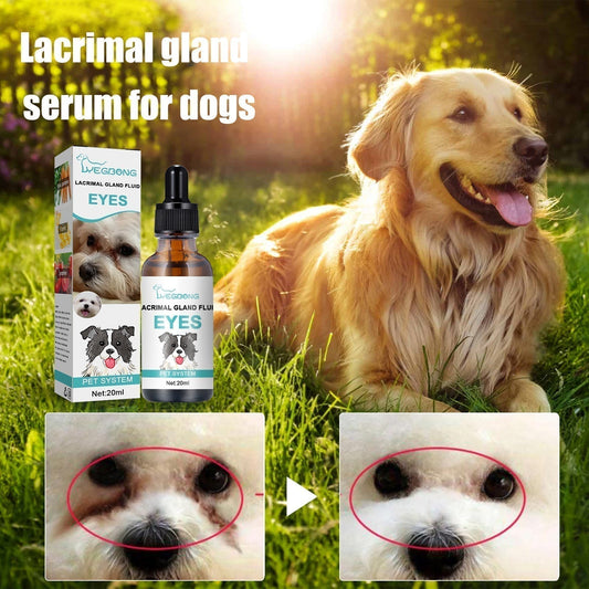 ✨Oferta Limitada 🐱🐶 Kit Olhos Pet – Limpeza Fácil & Suave 💧🌿